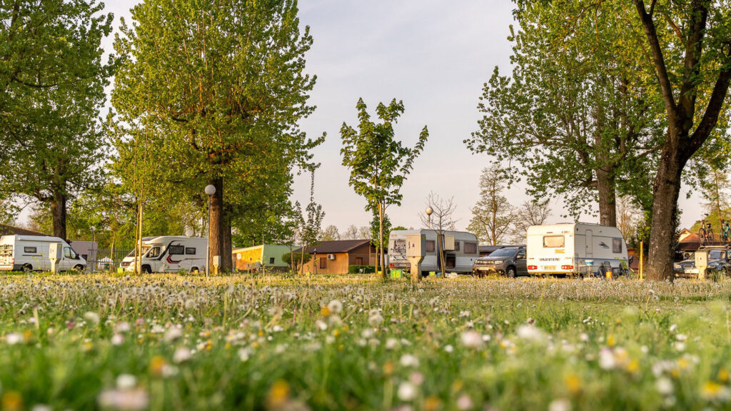 Kamp Klasika